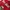 New Era Vintage Y2K Hat Pria red photo 2