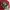 New Era Vintage Y2K Hat Pria red photo 5
