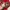 New Era Vintage Y2K Hat Pria red photo 4