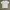 Carhartt Streetwear T-shirt Pria white photo 2
