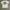 Carhartt Streetwear T-shirt Pria white photo 1