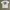 Carhartt Streetwear T-shirt Pria White