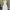 Fairy Coquette Summer dress Wanita cream photo 1