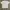 Carhartt Streetwear T-shirt Pria white photo 2