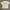 Carhartt Streetwear T-shirt Pria white photo 1
