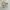 Carhartt Streetwear T-shirt Pria white photo 3