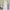 Fairy Coquette Cami top Wanita white photo 1