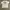Carhartt Streetwear T-shirt Pria white photo 1
