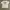 Carhartt Streetwear T-shirt Pria White