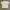 Carhartt Streetwear T-shirt Pria white photo 2