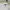 Theory Casual Polo shirt Pria white photo 4