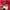 Streetwear Casual Windbreaker Pria red photo 6