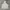 Kappa Streetwear Y2K Hoody Pria white photo 2