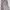 Levi's Casual Casual dress Wanita gray photo 1