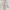 Coquette Casual Midi dress Wanita cream photo 1