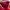 Nike Sportswear Casual Jersey Wanita red photo 4