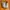 Nike Streetwear Sportswear Sneakers Pria tan cream photo 2
