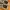 Nike Streetwear Sportswear Sneakers Pria tan cream photo 6