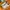 Nike Streetwear Sportswear Sneakers Pria tan cream photo 1