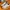 Nike Streetwear Sportswear Sneakers Pria Tan Cream