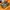 Nike Streetwear Sportswear Sneakers Pria tan cream photo 5