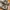 New Balance 327 Angora White photo 8