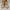 Converse Casual Sneakers Wanita multicolor yellow photo 3