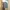 Lyle & Scott Luxury Casual Sweatshirt Pria Multicolor