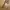 Vintage Luxury Pria brown photo 1