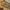 Vintage Luxury Pria brown photo 2