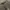 Burberry Luxury Minimalist Midi dress Wanita silver photo 5