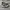 Adidas Sportswear Futurist Sneakers Pria multicolor black photo 2