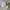 Asics Sportswear Casual Sneakers Pria tan photo 1