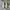 Asics Sportswear Casual Sneakers Pria tan photo 4