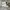 Nike Sportswear Casual Sneakers Pria white black photo 1