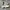 Nike Sportswear Casual Sneakers Pria white black photo 2