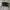 Nike Sportswear Casual Sneakers Pria white black photo 1