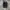 Nike Sportswear Casual Sneakers Pria white black photo 4