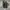 Nike Sportswear Futurist Sneakers Pria khaki photo 4