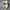 Nike Sportswear Futurist Sneakers Pria khaki photo 6