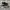 Nike Sportswear Futurist Sneakers Pria khaki photo 2