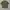 Uniqlo Streetwear Casual T-shirt Pria green photo 1