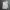Billionaire Boys Club Casual T-shirt Pria white photo 3