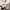 Billionaire Boys Club Casual T-shirt Pria white photo 6