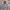 Fear of God Streetwear Y2K Hoody Wanita red gray photo 8