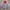 Fear of God Streetwear Y2K Hoody Wanita red gray photo 4