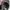 Vintage Casual Hat Kids black photo 4