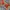 Cardinal Vintage Streetwear Casual pants Pria gray photo 3