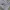 Cardinal Vintage Streetwear Casual pants Pria gray photo 5