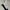 Adidas Sportswear Sock Pria black gray photo 2